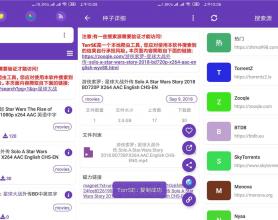 种子磁力爬虫 TorrSE v2.0.2