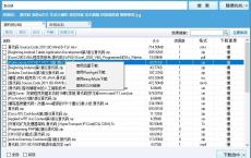 种子搜索P2Psearcher v8.8