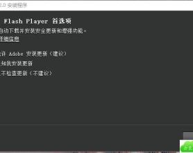Adobe Flash Player解除限制版