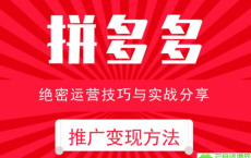 电商运营之拼多多推广变现方法