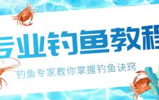 钓鱼视频技巧教程实战大全