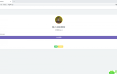 最新授权代刷网系统