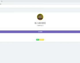 最新授权代刷网系统