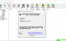 下载利器IDM v6.36.9绿色版