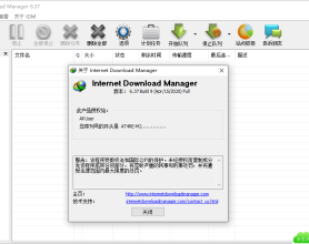 下载利器IDM v6.36.9绿色版