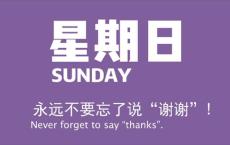 5月17日新闻早讯，每天60秒读懂世界