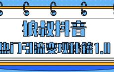 狼叔抖音热门引流变现秘籍1.0