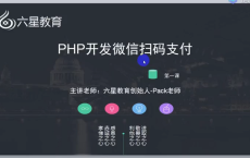 微信扫码支付系列课，支付接口接入必备技术，实现在线自动化收款