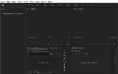 Premiere 2020 精简绿色版