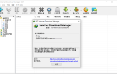 下载利器IDM 6.37.15绿色版