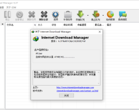 下载利器IDM 6.37.15绿色版