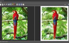 图片素描 FotoSketcher v3.60