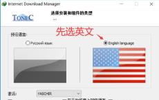 下载利器IDM 6.38.2安装版
