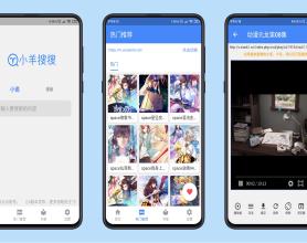 安卓小羊搜搜绿化版 一款强力的搜索工具