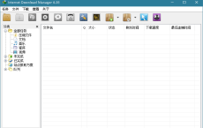 下载利器IDM 6.38.17绿色版