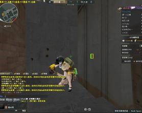 CF肥鑫单本方框透视辅助