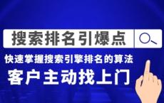 王通《直播带货引爆点》+《搜索排名引爆点》（两套视频课）无水印