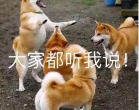 戴套和不戴套，女生是什么感觉