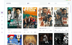 电脑ZYPlayer v2.7.6官方版