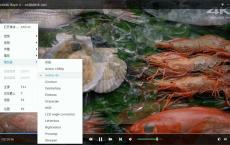 DVDFab Player v7.0.0.4高级版
