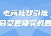 电商社群引流裂变直播实战营