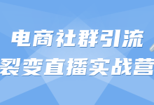 电商社群引流裂变直播实战营