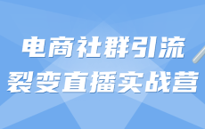 电商社群引流裂变直播实战营