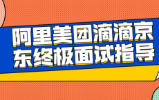 阿里美团滴滴京东终极面试指导