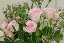 生活要自己很努力的句子 努力变优秀的简短句子