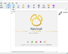 Navicat Premium v17.1.10绿色版