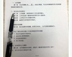 叙利亚雇佣兵合同生成源码