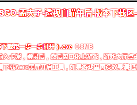 CSGO孟夫子0824最新破解版