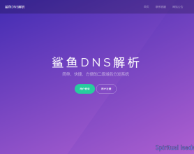 最新二级域名分发系统（梦幻版）