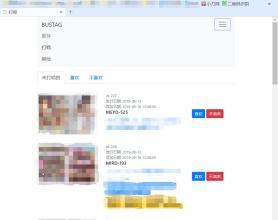 老司机的车牌GitHub项目