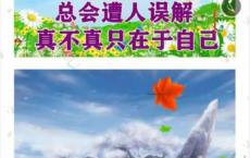 <span style='color:#FFFFFF'>朋友圈发的土味情话也是一门生意</span>