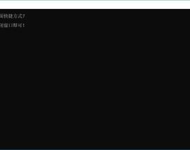 下载利器IDM v6.36绿色版