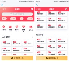 超级会员推出购买Q群靓号