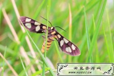 <span style='color:#FFFFFF'>小刀娱乐网：怎样才能减少网站的跳出率呢?</span>