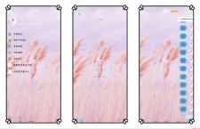 QQ美化包-芦苇8.13破解主题美化