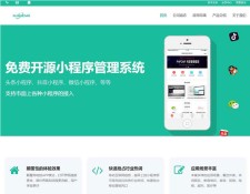 迅睿微信抖音小程序生成管理系统V1.0开源