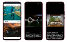 西施 专注于国家地理第三方资讯阅读工具应用