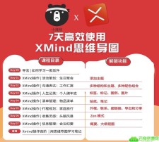 7天高效使用XMind思维导图