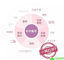 协和专家的科学备孕攻略