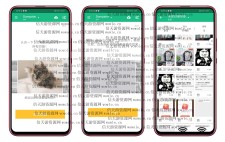 Dumpster 这款软件相当于电脑上的回收站