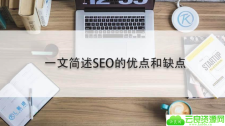 一文简述SEO的长处和缺陷