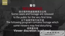 <span style='color:#FFFFFF'>重磅！央视播涉疆反恐纪录片，部分画面首次披露（附完整视频）</span>