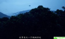 美国灾难片《传染病》再看已是片中人